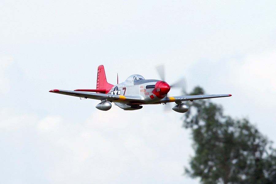 Giant P-51D Mustang EPP 1700mm | pkmodelar.cz