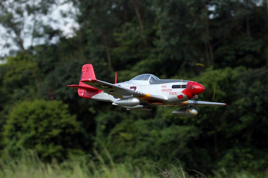 Giant P-51D Mustang EPP 1700mm | pkmodelar.cz