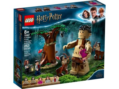 LEGO Harry Potter - Zapovězený les: Setkání Drápa a profesorky Umbridgeové | pkmodelar.cz
